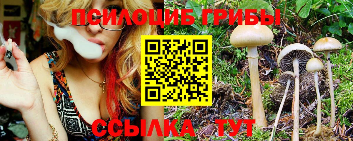 Псилоцибиновые грибы мицелий  Вход с VPN  Чайковский 